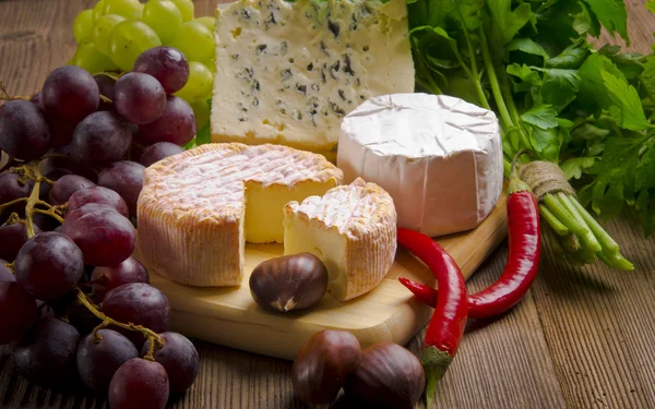 Druhů různých sýrů — Stock fotografie