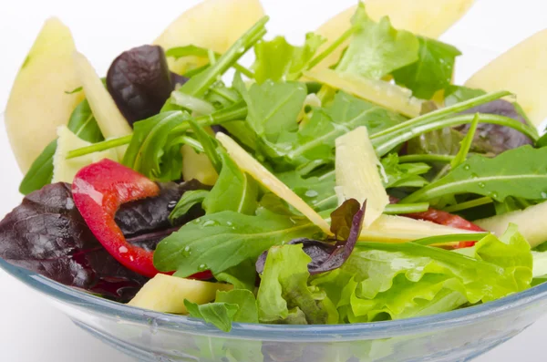 Rucola saudável Salada close-up — Fotografia de Stock