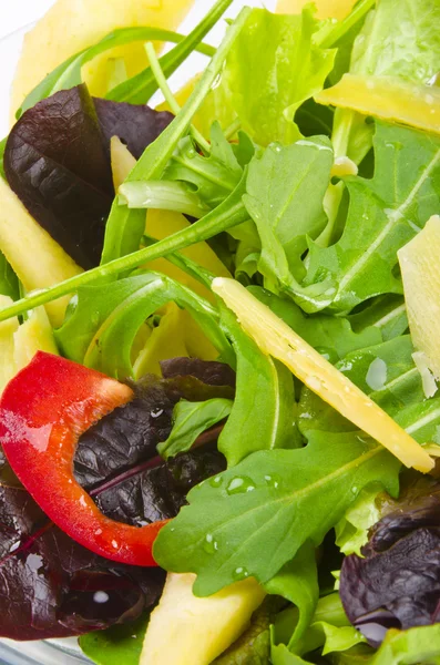 Rucola sağlıklı Salata closeup — Stok fotoğraf
