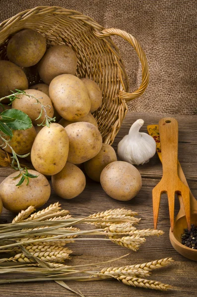 stock image Silesian potato