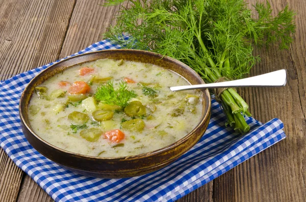 Polskie ogórki kiszone zupa — Zdjęcie stockowe