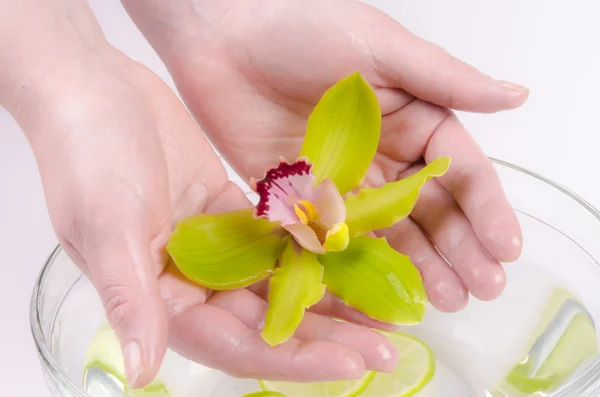 Wellness for hands — Stock Photo, Image
