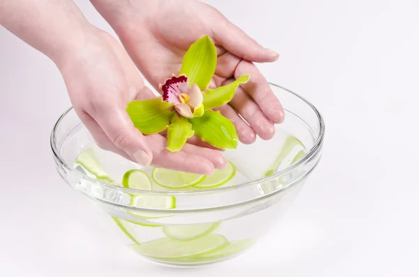 Wellness for hands — Stock Photo, Image