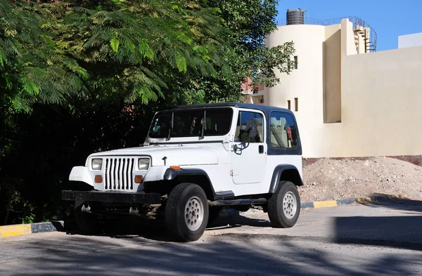 Akasya ağaçlarının Jeep.