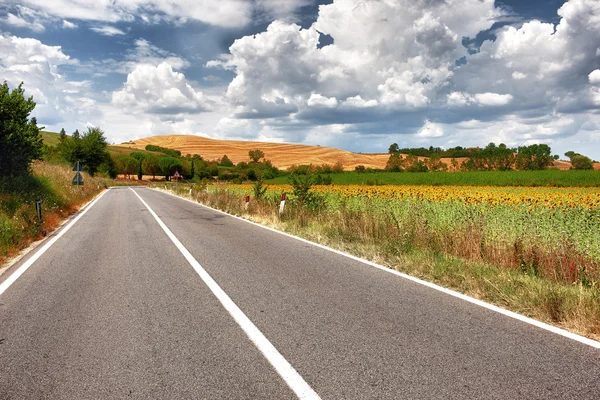 Paisaje típico toscano con una carretera —  Fotos de Stock