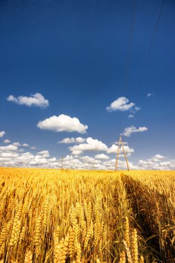 Poles with wires in the box against the blue sky clipart