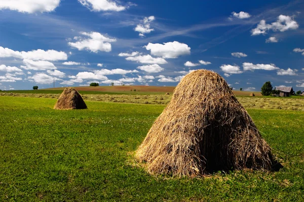 Haystack no fundo da paisagem rural — Fotografia de Stock