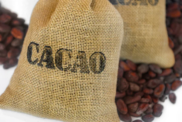 Cacao beans in jut bag with inscription "cacao" isoleted on white — Stock Photo, Image