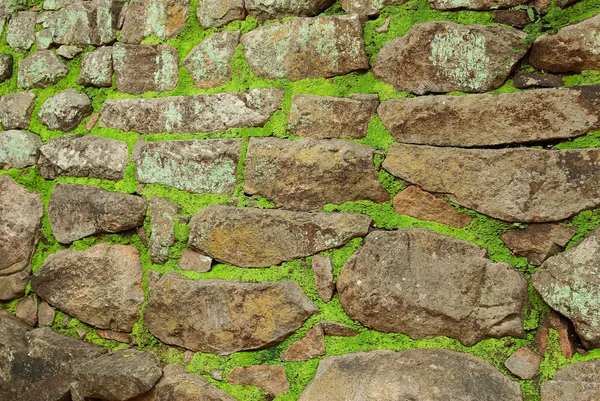 stock image Texture of old stone wall covered green moss