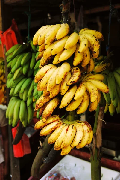 Gele en groene bananen opknoping in winkel — Stockfoto