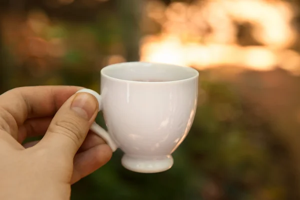 Маленькая чашка чая в руке в природе фон — стоковое фото