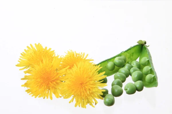 黄色的花朵与豌豆 — 图库照片
