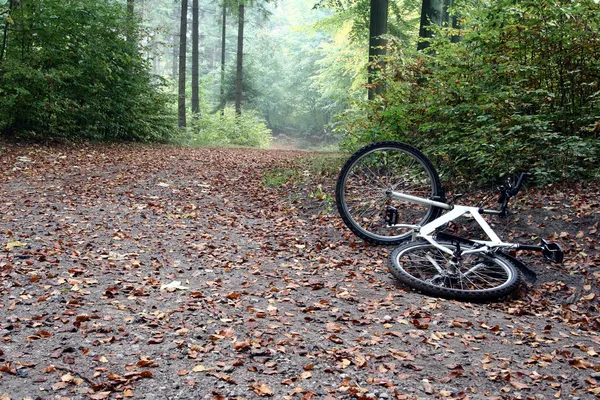 Acidente de bicicleta — Fotografia de Stock