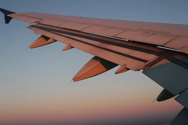 飛行機の翼 — ストック写真