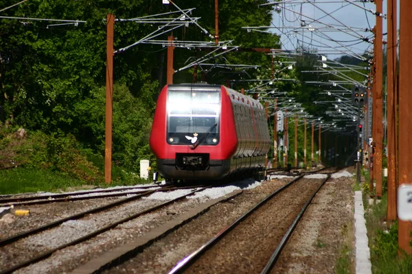 红色的火车 — 图库照片