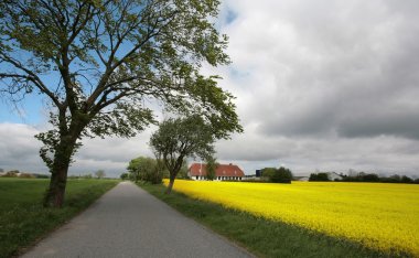 Danish landscape clipart