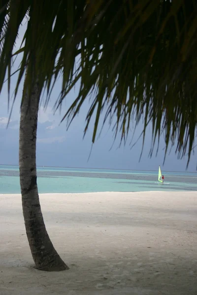 Maldives islands — Stock Photo, Image