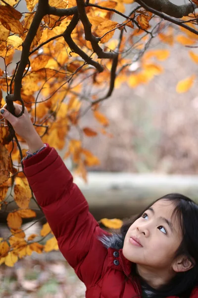 Children joy — Stock Photo, Image