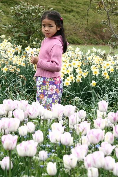 Dziecko kwiat — Zdjęcie stockowe
