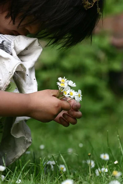 Квітки дитини — стокове фото
