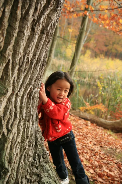 儿童户外在森林里 — 图库照片