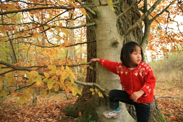 Criança ao ar livre na floresta — Fotografia de Stock