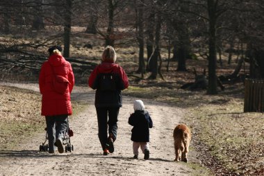 Köpek Yürüyüşü