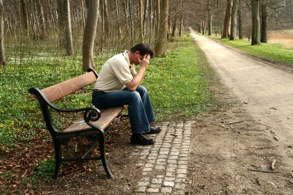 stock image Bench