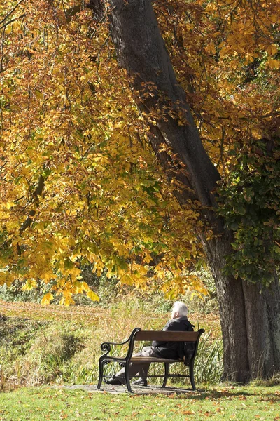 Banc d'automne — Photo