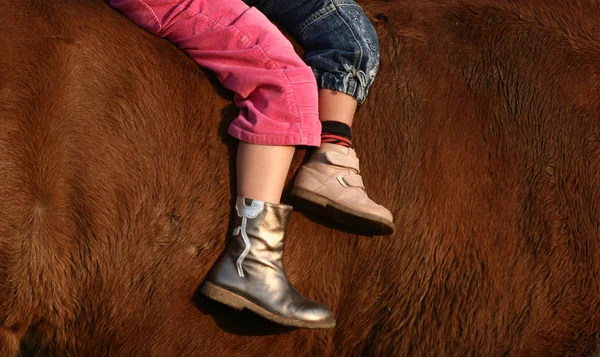 Stock image Children and horse