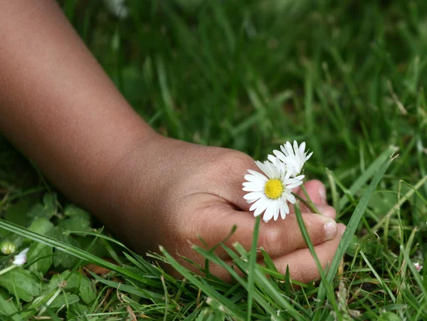 꽃피는 아이 — 스톡 사진