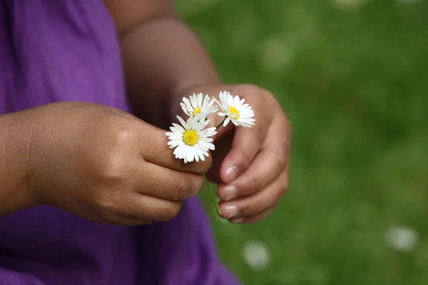 Дитя цветов — стоковое фото