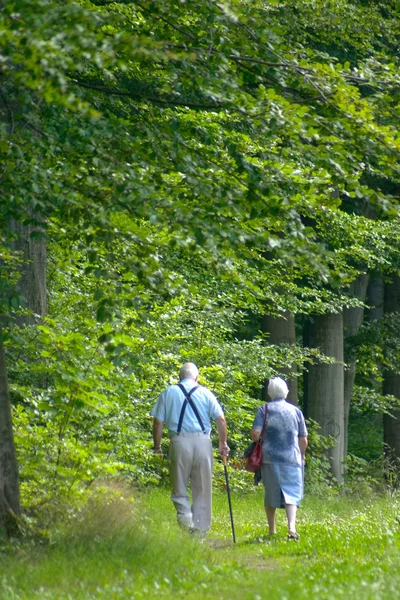 Pareja en el bosque — Foto de Stock