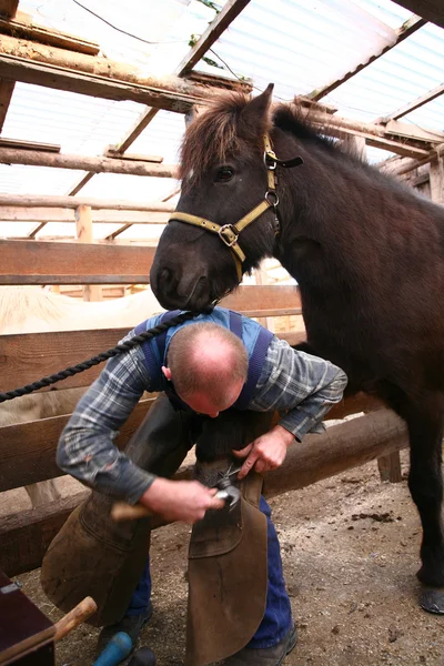 stock image Blacksmith at work