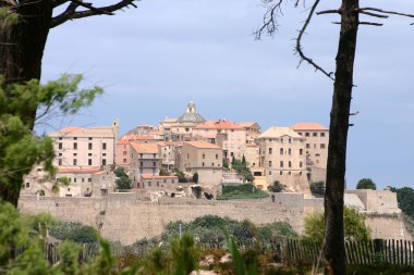 Calvi