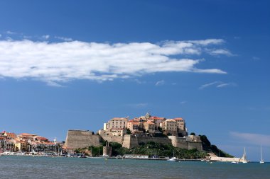 Calvi