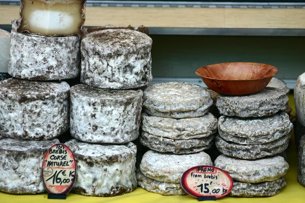 Korsika peyniri — Stok fotoğraf