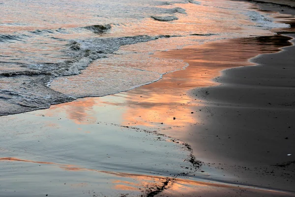 코르시카어 풍경 — 스톡 사진