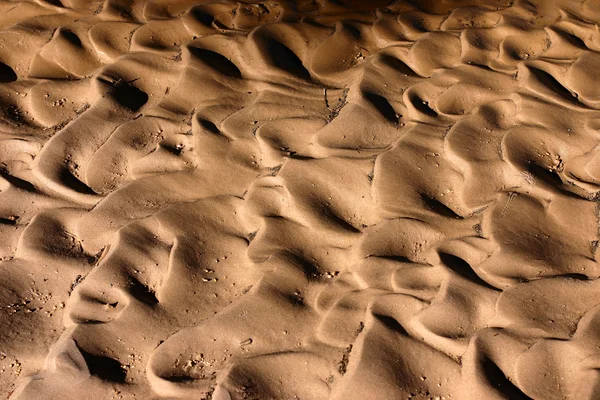Pattern in the sand in Corsica — Stock Photo, Image