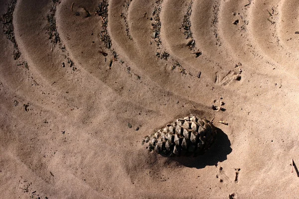 Песчаная структура — стоковое фото