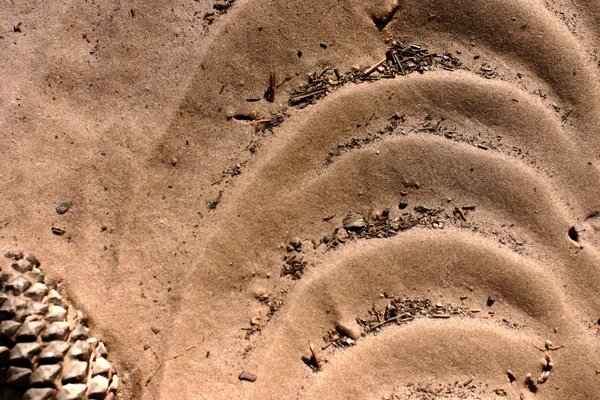 Pattern in the sand in Corsica — Stock Photo, Image