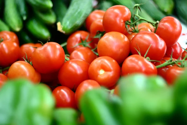 Produtos hortícolas — Fotografia de Stock