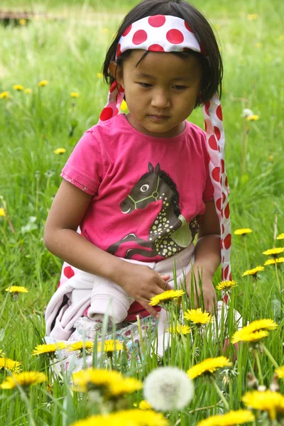 Meisje in bloemen — Stockfoto