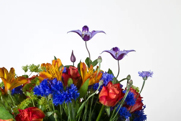 Flowers — Stock Photo, Image