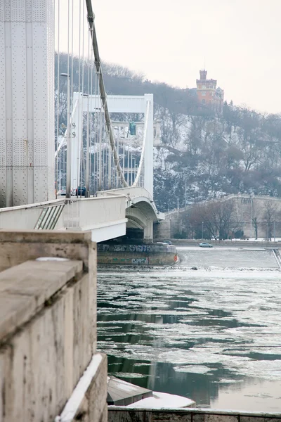 stock image Bridge over the Danube