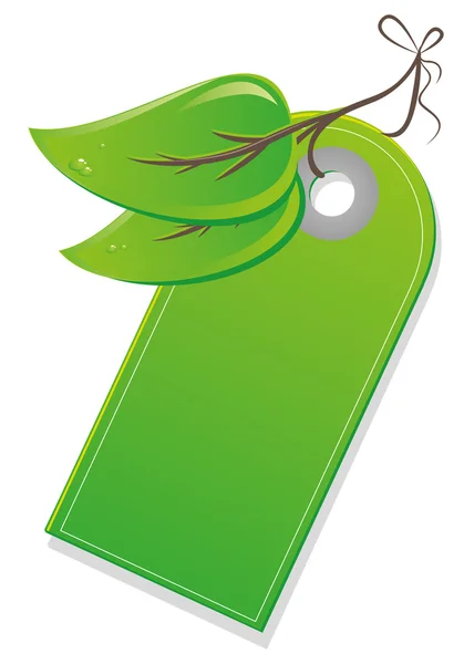 Eco cartellini con foglie — Vettoriale Stock