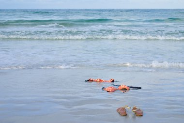 Turuncu daldırma sıska bikini Plajı