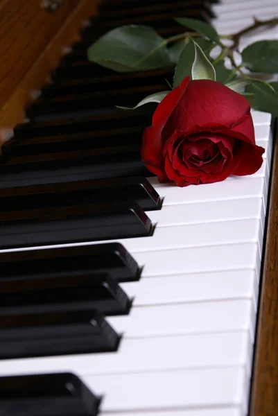 Piano con Rosa Rossa Primo Piano — Foto Stock