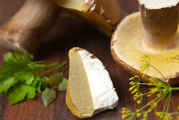 stock image Fresh mushrooms