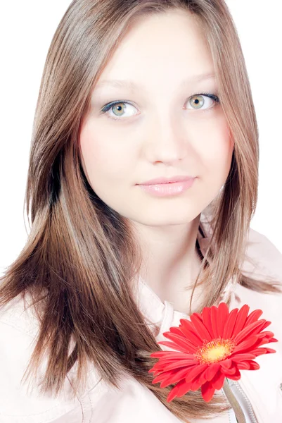 Young girl with gerbera — Stock Photo, Image